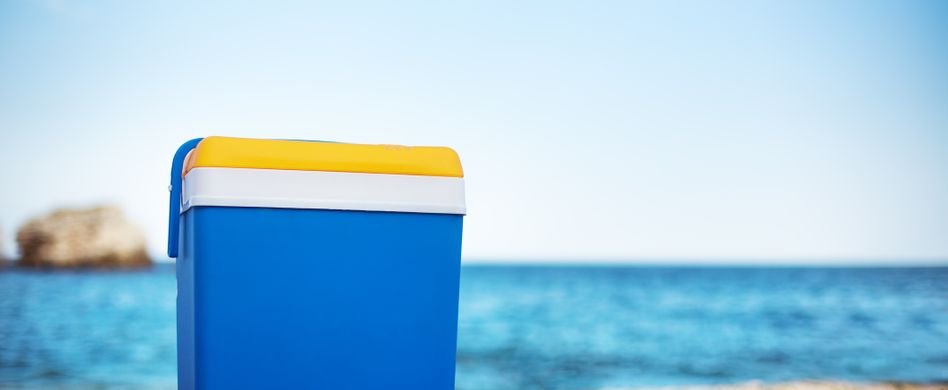 Kühlboxen-Vergleich: Welche Kühlbox ist die beste für mich?